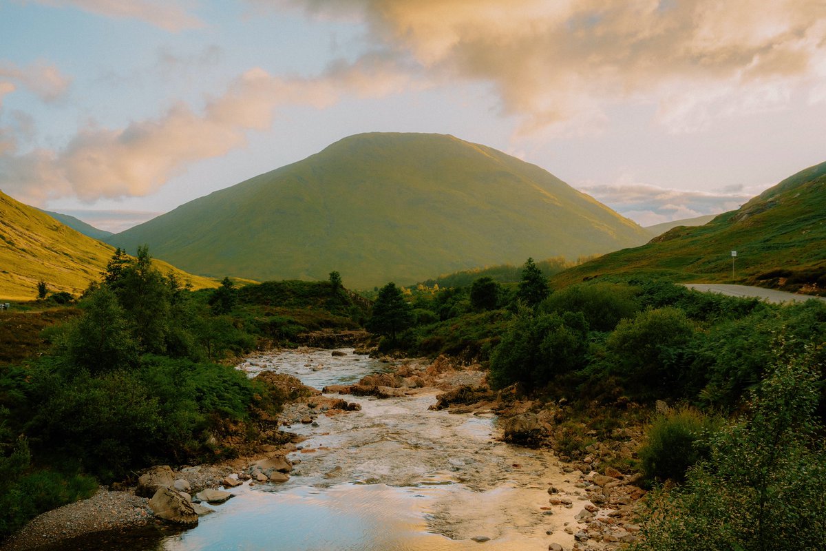 Daniel Casson tweet media