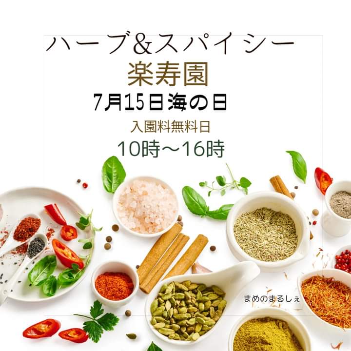 Mamenomarche's tweet photo. まめのまるしぇイベント情報
★ハーブ＆スパイシー★
日時: 7/15(月･祝)10:00-16:00
会場: 三島市立公園 楽寿園
暑い夏はハーブとスパイスを取り入れて元気に楽しもうー！

#まめのまるしぇ
#静岡県東部のマルシェ
#七夕マルシェ
#楽寿園 https://t.co/VTWqSPRhJo