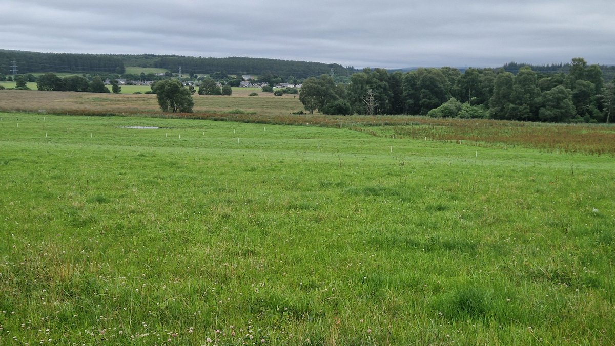 Edinvale Farm 🌱🐂 tweet media