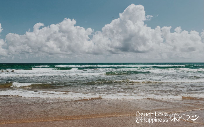 BeachLoveSGI's tweet photo. Are you making plans for your vacation on St. George Island? Check the weather, tides and moons right here for beach trips, fishing and shell collecting https://t.co/h2UEERusSH 

#stgeorgeisland #stgeorgeislandflorida #weather #tides #fishing #shelling #sgi #beachlovehappiness https://t.co/j0NBtquEXt