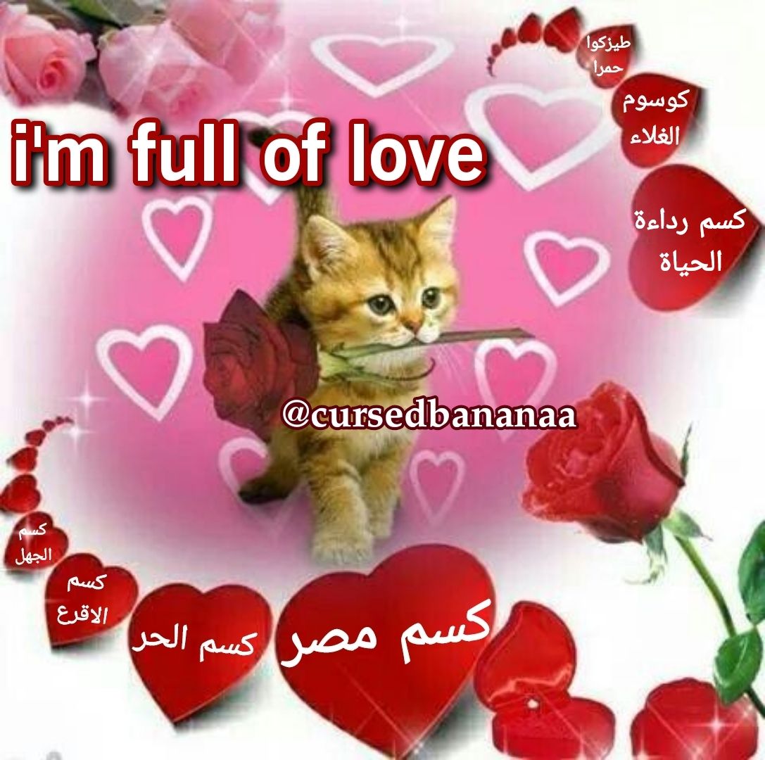 cursedbanana (@cursedbananaa) on Twitter photo 