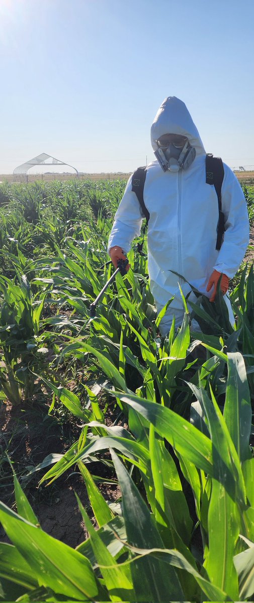 Saini DK tweet media