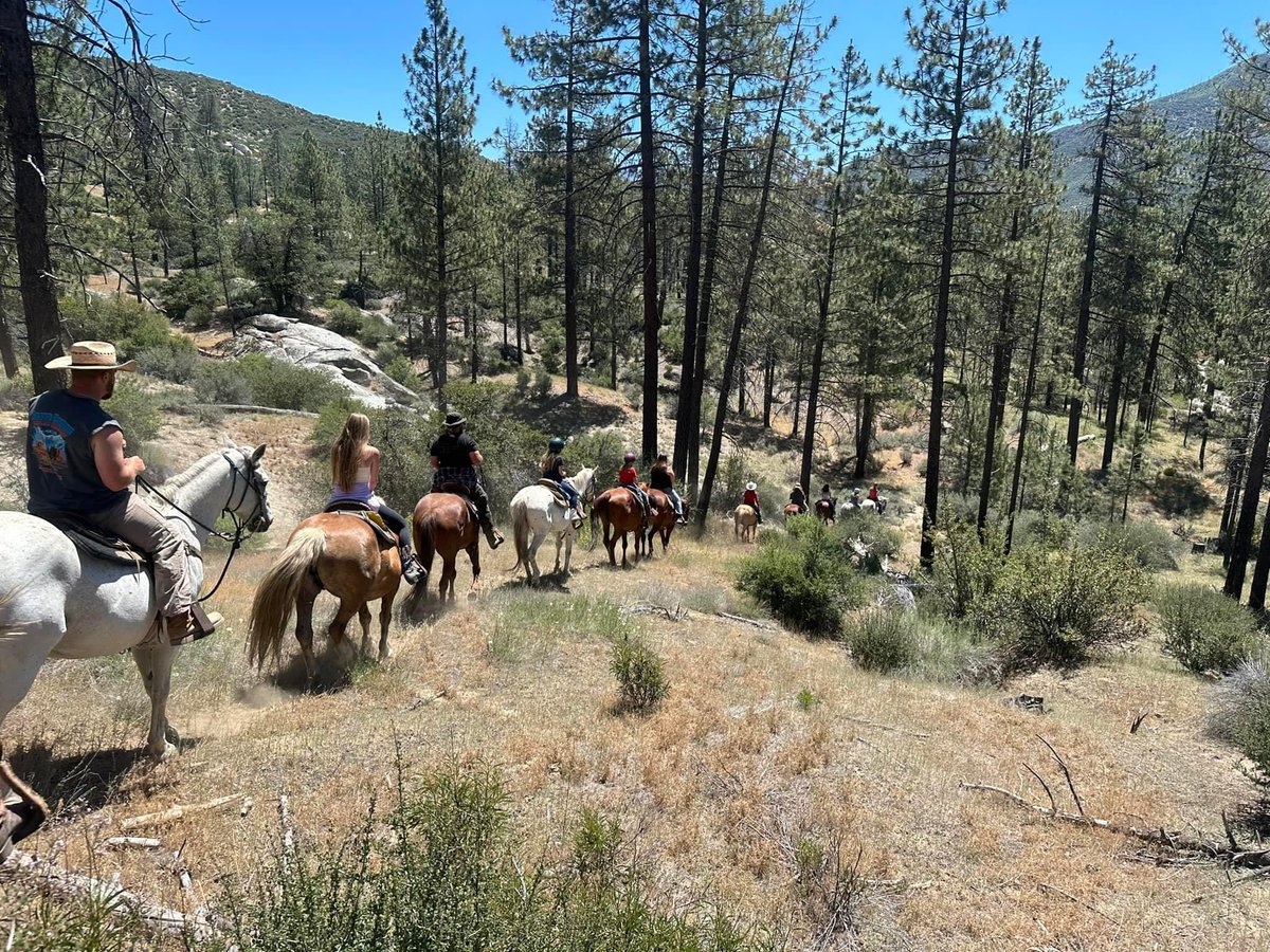 RRanchSequoias's tweet photo. Whether you love hiking, horseback riding, fishing, or simply relaxing by the lake, R-Ranch has something for everyone.
Call 760-376-3713 or visit https://t.co/MT5BI6H6rB
#sequoias #horse #cabin #fishing  #rranch #ranch #camping #rranchsequoias #rranchinthesequoias  #family https://t.co/J2BqZkQxqM