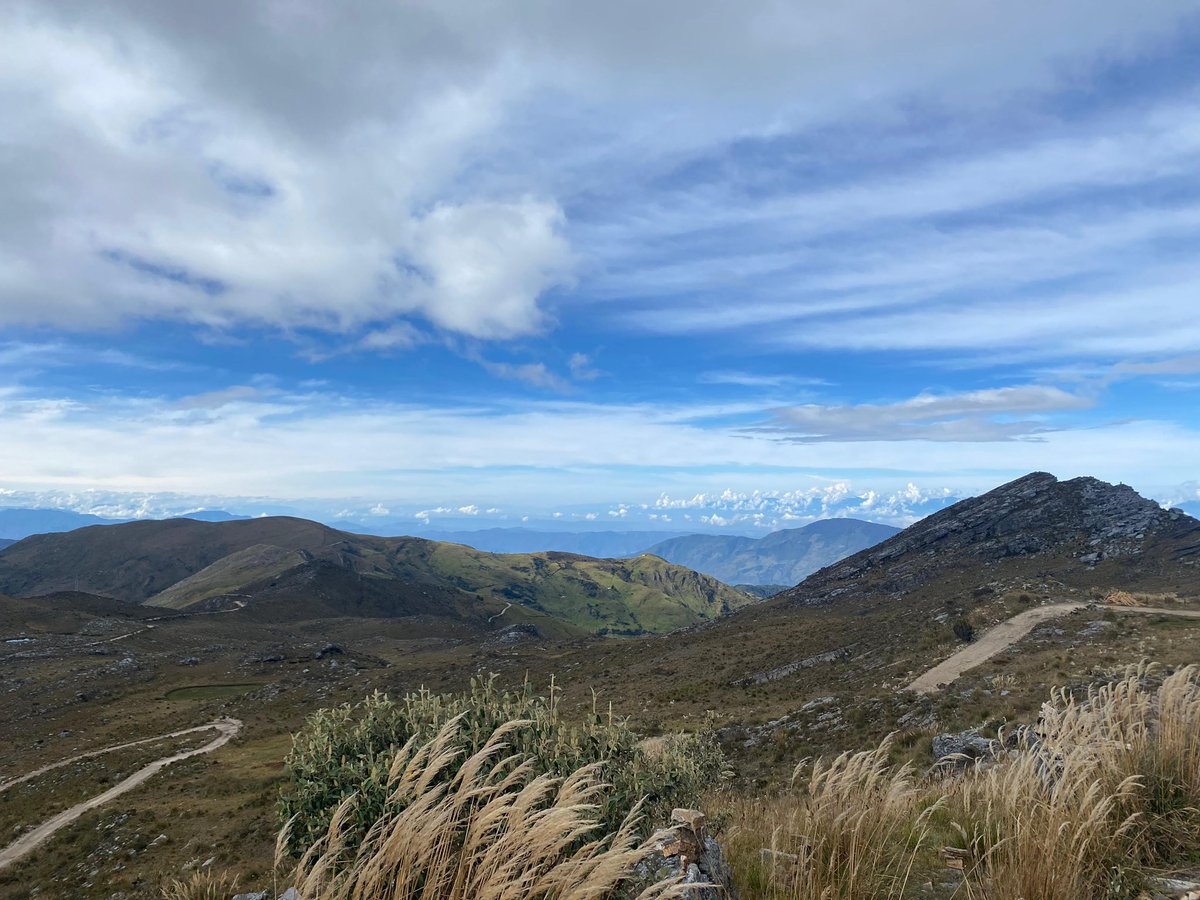 Esta historia quizá no le guste a muchas personas, pero igual aquí va: 

Hace unos años, en el bello Páramo de El Almorzadero (entre Santander y Norte de Santander) los habitantes empezaron a reportar una serie de ataques a sus ovejas y cabras.