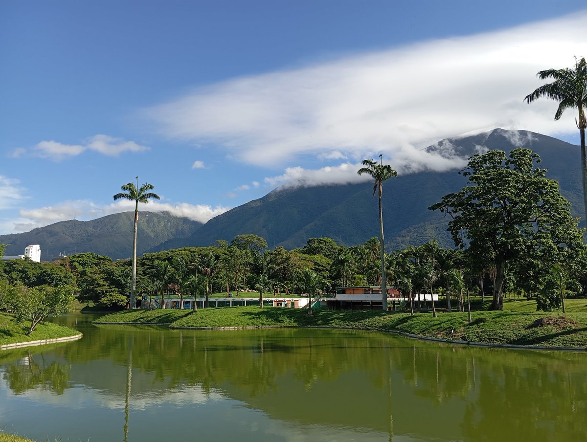 Bettmar17's tweet photo. Así amanece el Parque del Este https://t.co/b98D7vDFXX