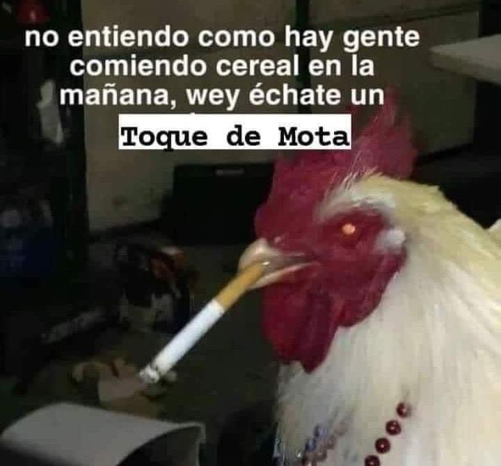 Angel Artesano ॐ (@angeel_artesano) on Twitter photo 