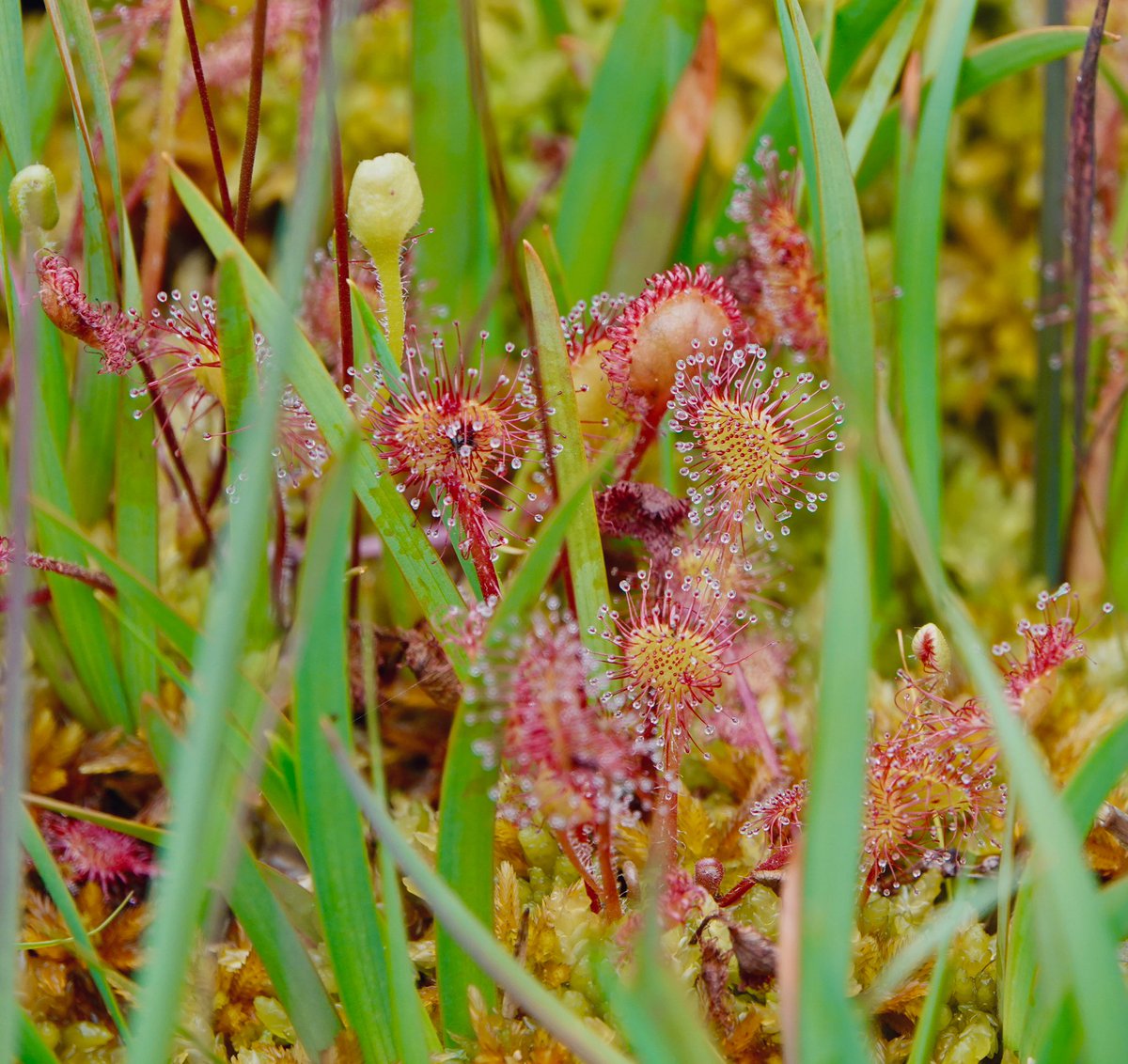 lyn lambert💙💛🇺🇦 tweet media