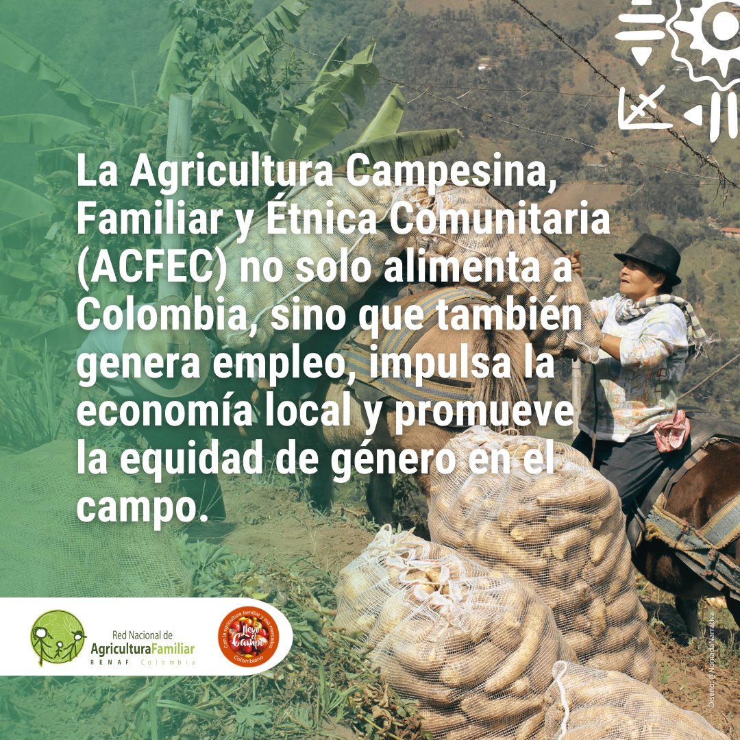 AIAFcolombia's tweet photo. 👩‍🌾🧑‍🌾🍉🫘🥕🥝

#AgriculturaFamiliar #DesarrolloRural #EmpleoRural #EquidadDeGénero #ColombiaSostenible #MujeresRurales #EconomíaLocal #Biodiversidad #SeguridadAlimentaria #SemillasBienComún #RedSemillasLibres #ACFEC https://t.co/XkDEUKKjxd