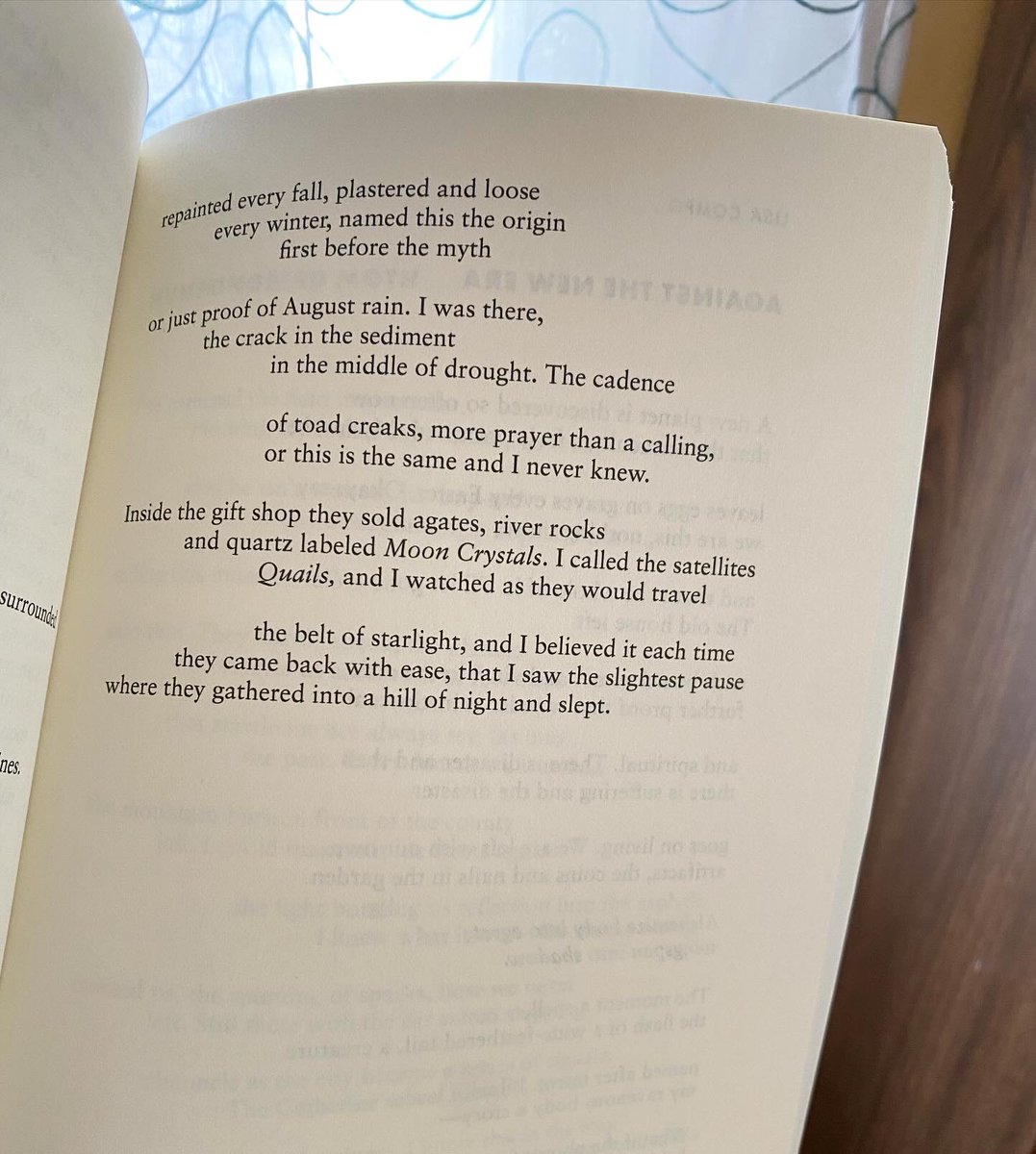 Lisa Compo tweet media