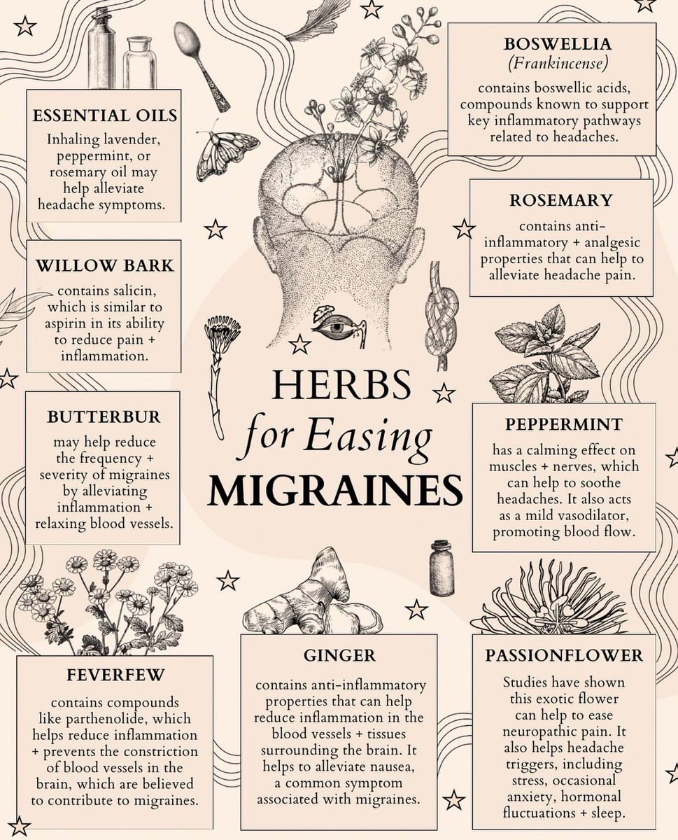 FredsFarm247's tweet photo. Herbs for easing migraines👇🏽 https://t.co/fOUEgl26gE