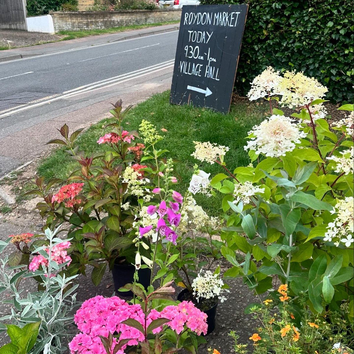 We had a lovely time in #Roydon today, at the Monthly Village Market, St Peter’s Church Flower Show and the Roydon Festival. Wonderful community events supported by local people, voluntary organisations &amp; businesses! 💚💐 <a href="/ChrisWhitbread_/">Chris Whitbread</a> and I enjoyed some chips from Howes! 🍟