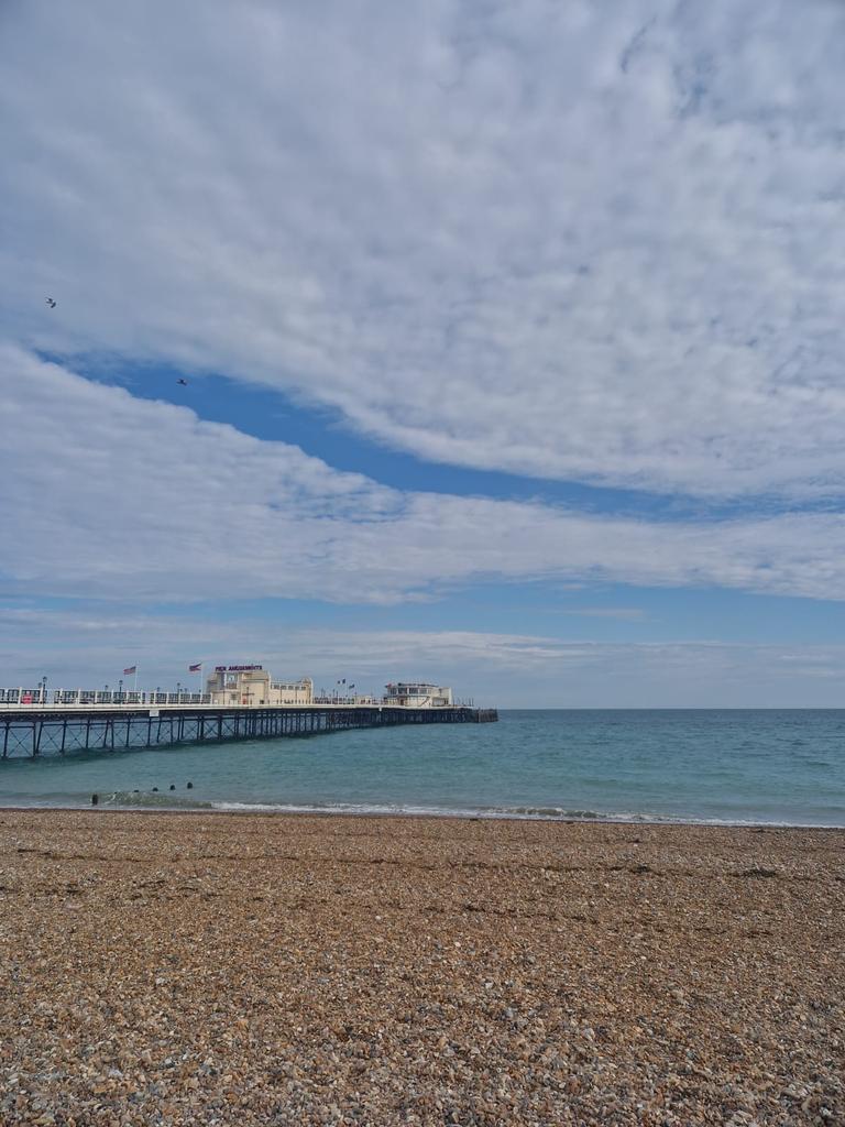 Fifi 🦄 tweet media