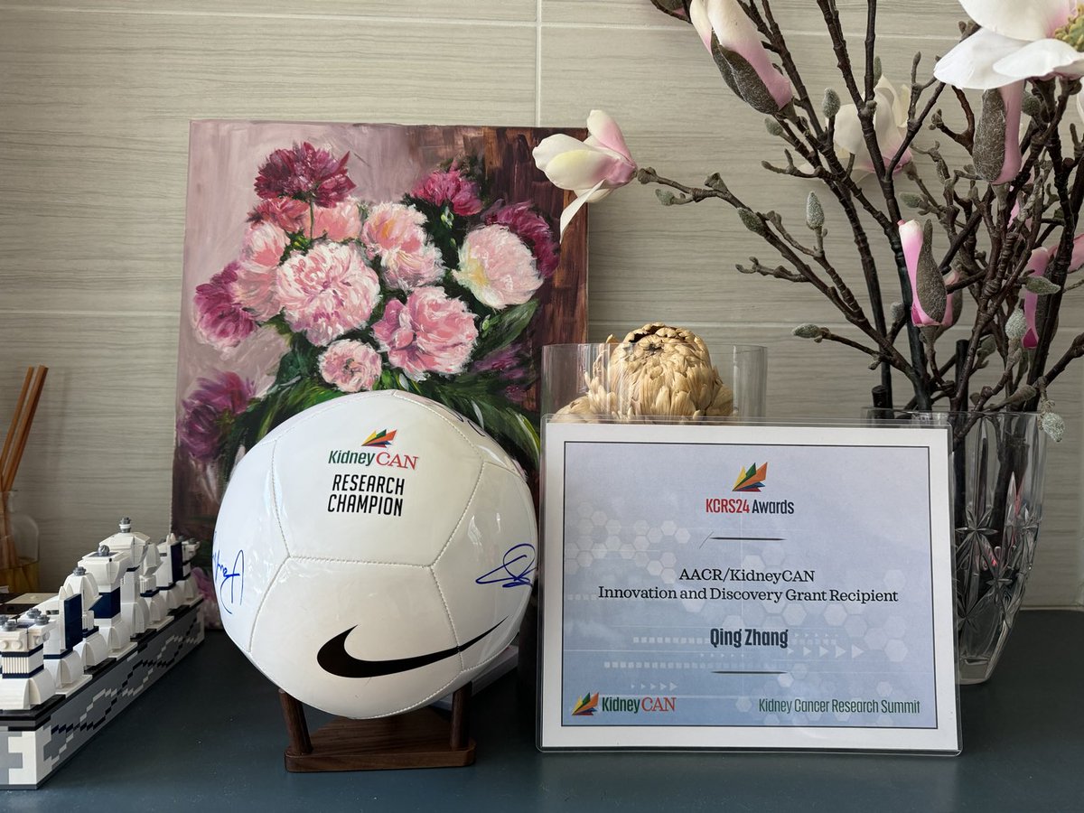 Qing Zhang tweet media