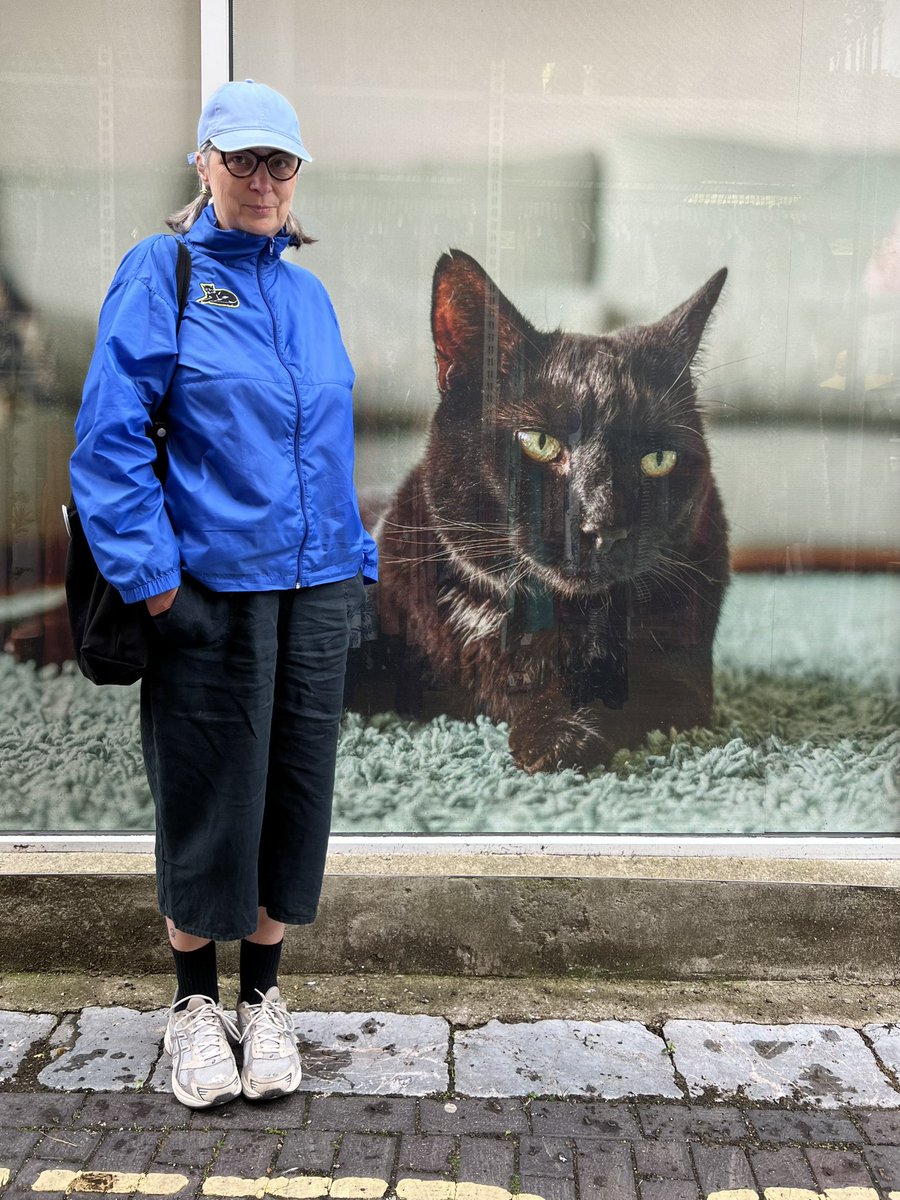 Official Out of Office on Holiday! 🐈‍⬛