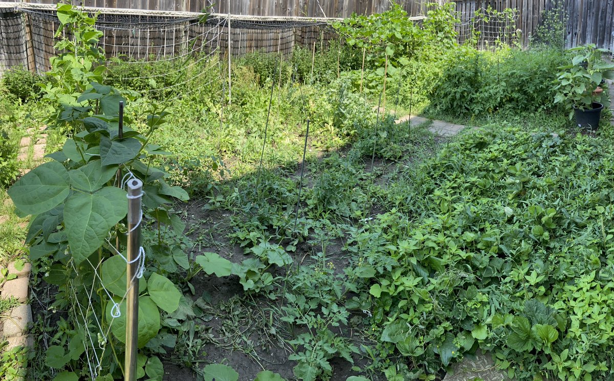 Dao Tran tweet media