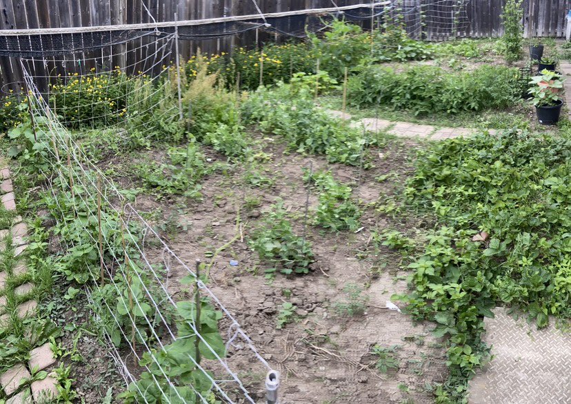 Dao Tran tweet media