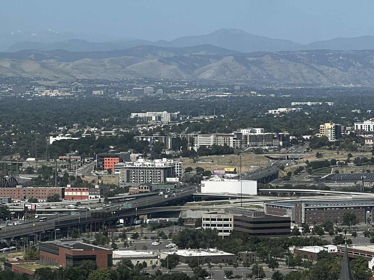 Denise Haltrecht tweet media