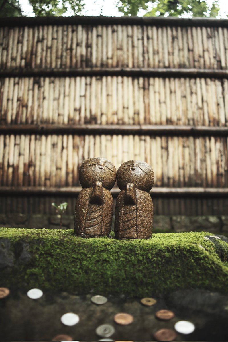 A_Kameyama0331's tweet photo. ぶらり京都旅

#CANON #EOS #5dmarkii #一眼 #一眼レフ #東京カメラ部 #ファインダー越しの世界 #写真撮ってる方と繋がりたい https://t.co/oAPtlU8Jtk