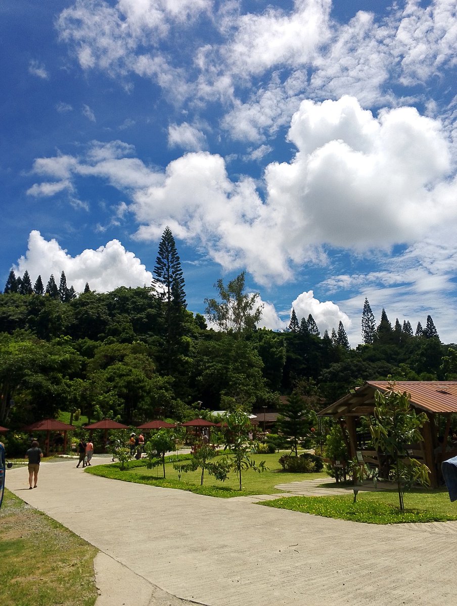 Lyia834's tweet photo. It reminds me that even in times of hardship, we still experience the goodness of God. I'm very grateful💗🌲 https://t.co/82V1Q9U7Ic