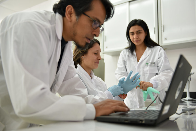 CGIAR (@cgiar) on Twitter photo 🚀 Embark on a pioneering journey with CGIAR! We're hiring a visionary Chief Scientist to lead our 2025-2030 Research Portfolio. Shape the future of agricultural research and drive global change. Apply now! 🌍🌱 #OneCGIAR #ChiefScientist 
on.cgiar.org/3Wl42pW 🚀 Embark on a pioneering journey with CGIAR! We're hiring a visionary Chief Scientist to lead our 2025-2030 Research Portfolio. Shape the future of agricultural research and drive global change. Apply now! 🌍🌱 #OneCGIAR #ChiefScientist 
on.cgiar.org/3Wl42pW