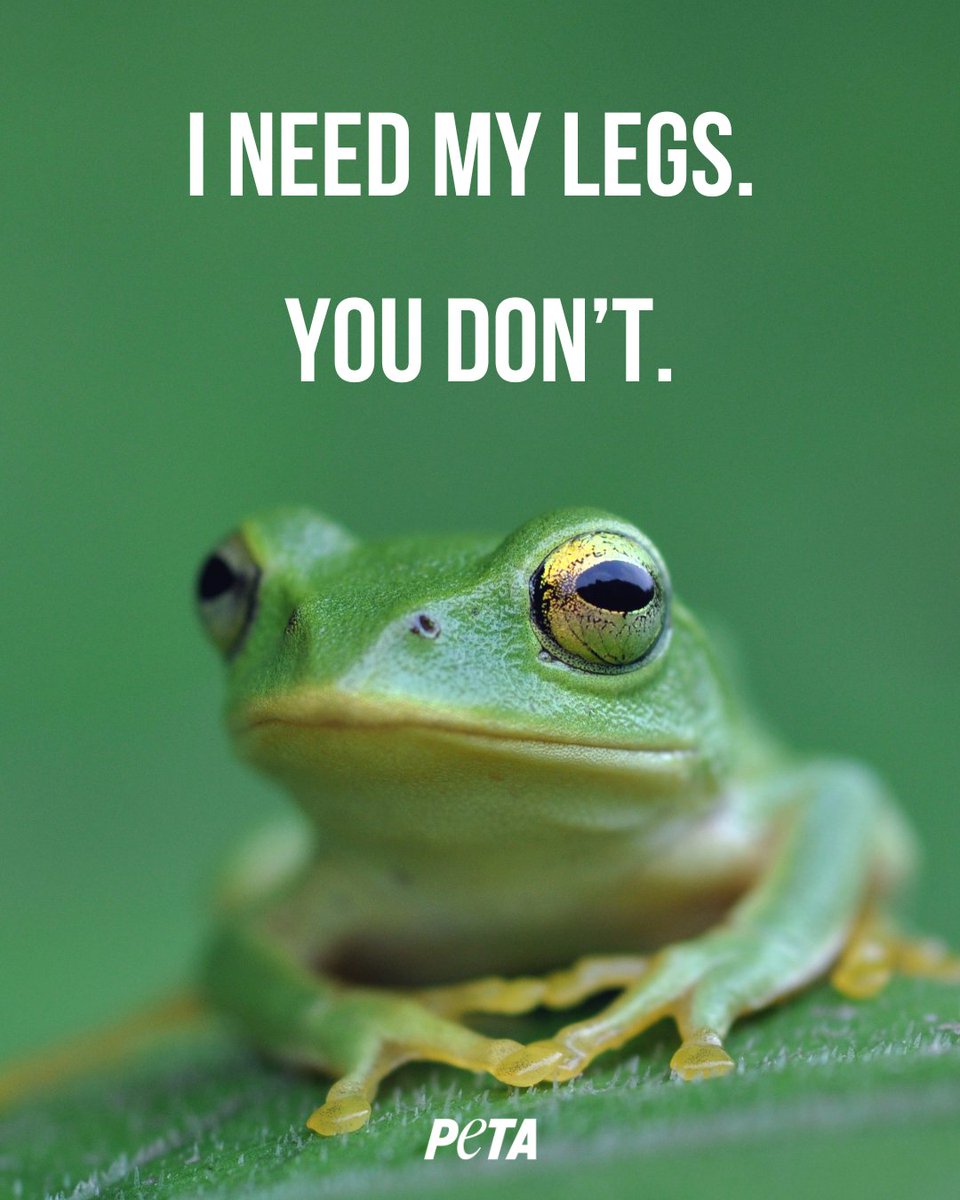 PETAUK's tweet photo. Frog legs, chicken legs, lamb legs… Let’s leave all animals off our plates and let them hop, cluck, and graze in peace. #GoVegan. https://t.co/7o1Eq2heap