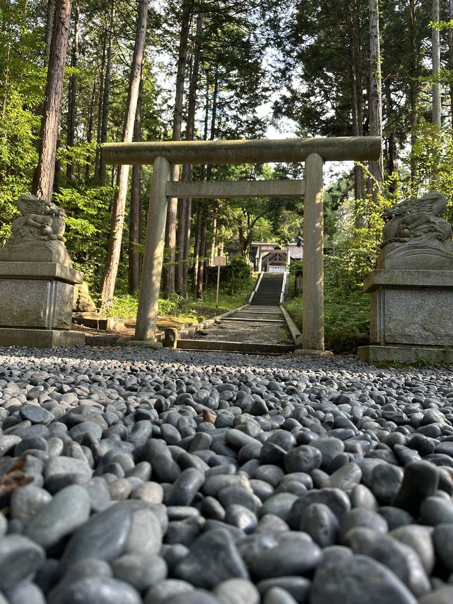 Craftwatts's tweet photo. お気に入りの場所⛩️ https://t.co/tt5dLf9wJv