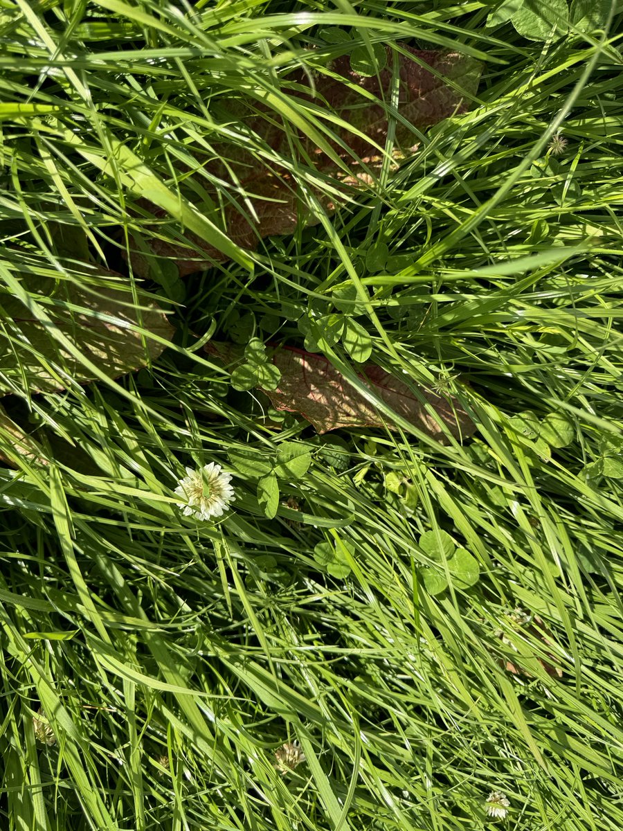 Pat Quirke tweet media