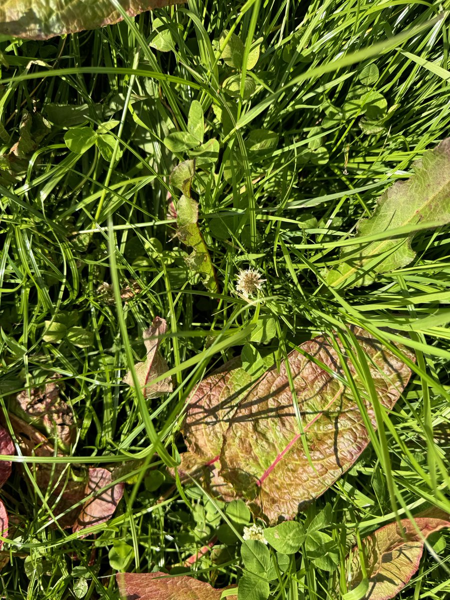 Pat Quirke tweet media