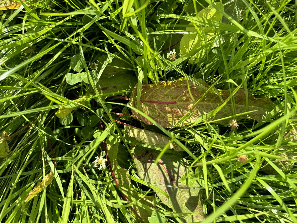 Pat Quirke tweet media