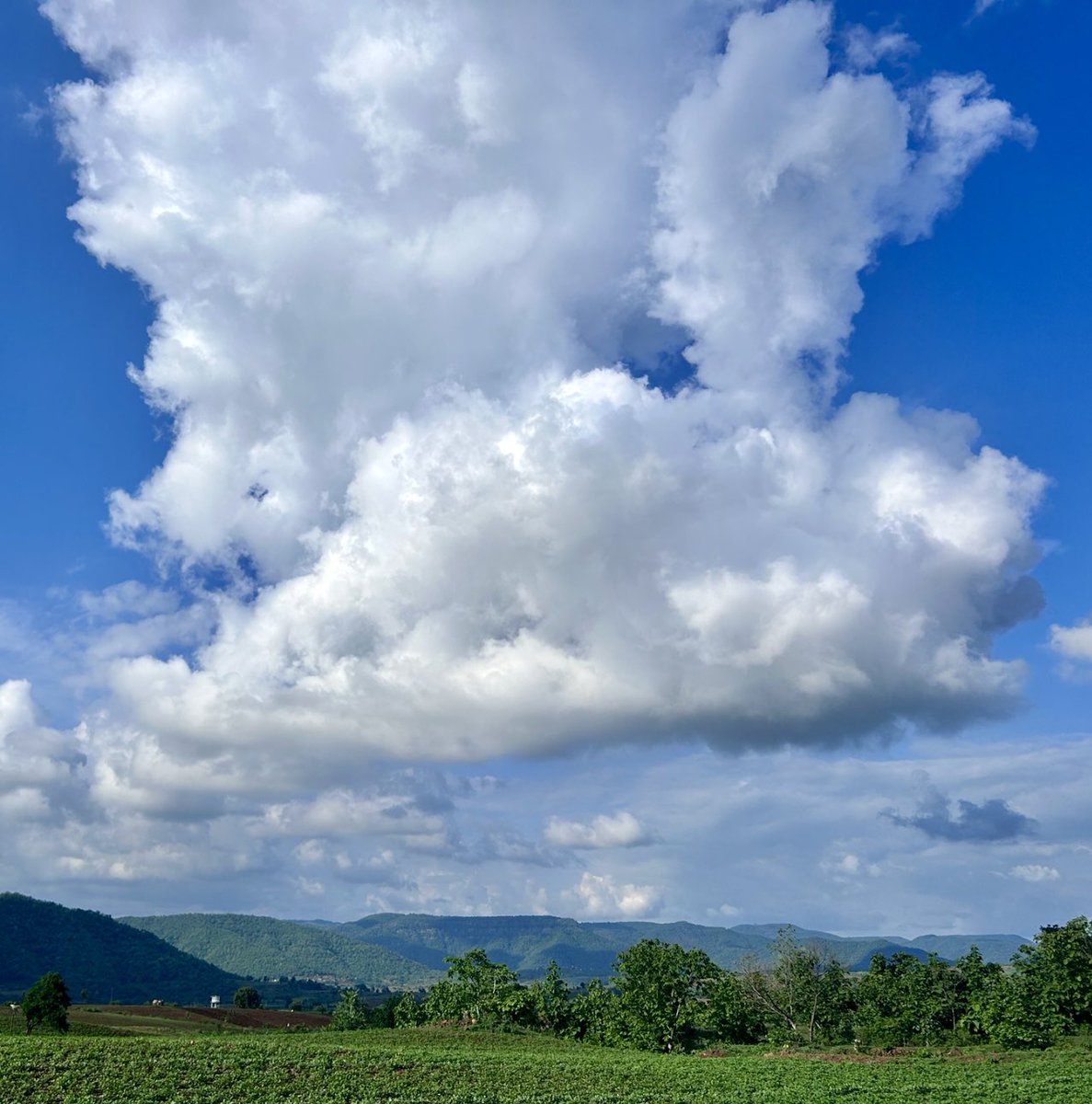 Remember that which 
abides like the sky.
Don't be focused on the visitors, 
remain rooted in the host; 
the visitors will come and go. 

Osho