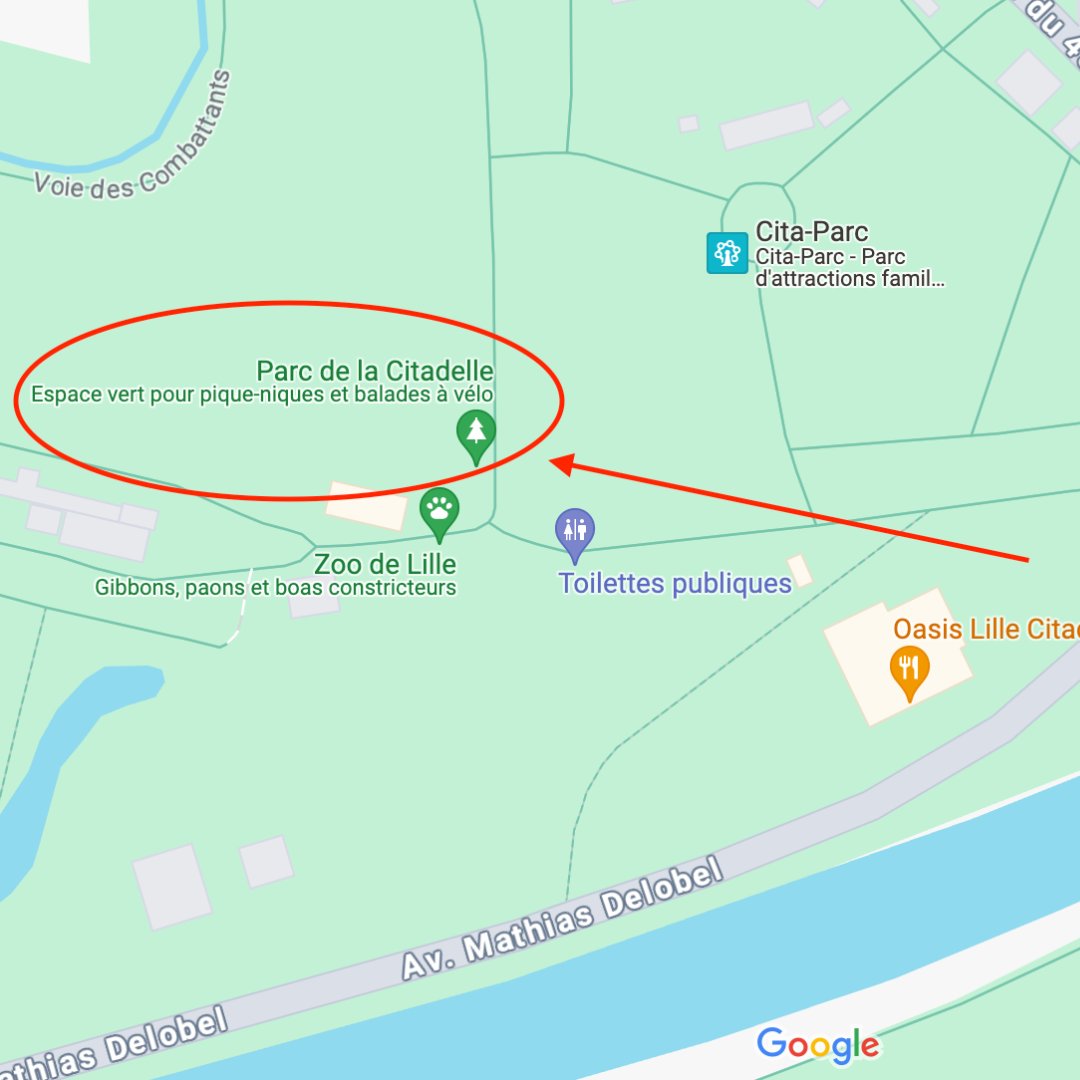 Coeur de Grâce Lille tweet media