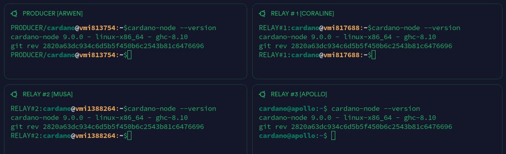 🇵 🇪 🇹 ❤ Cardano & Midnight SPO tweet media