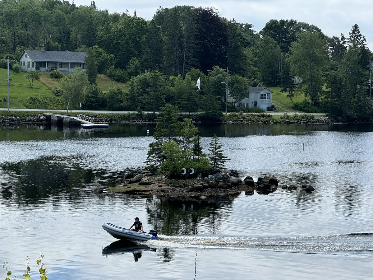 mini_bubbly's tweet image. Driving through #Hubbards earlier today, had to pull over because I saw this, zoom in lol 👀 #NovaScotia