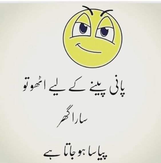 Farzana Iqbal (@farzana491) on Twitter photo 
