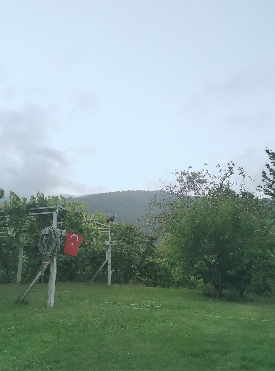 EnderFnr's tweet photo. Sinop da görüldü. https://t.co/94Ev3Z6Xtl