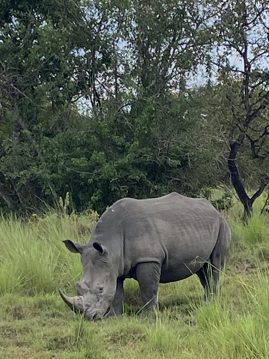 BSM Uganda Trip 2024 tweet media