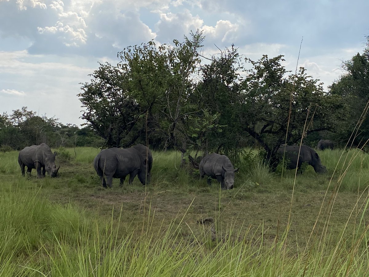 BSM Uganda Trip 2024 tweet media