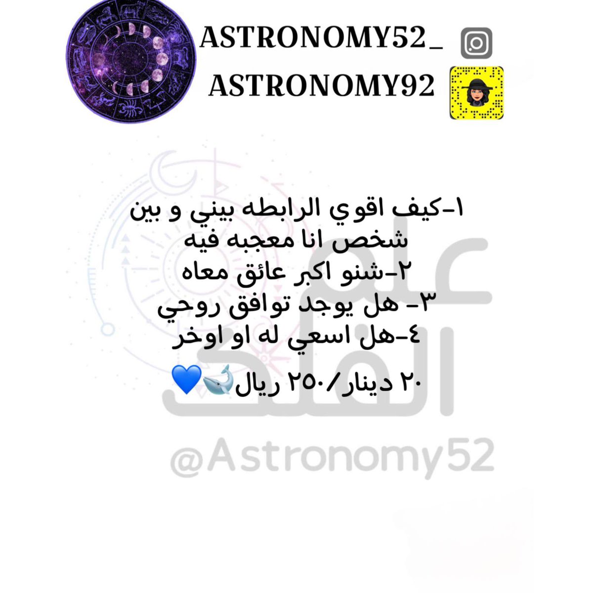 🌑💙🐋 tweet media