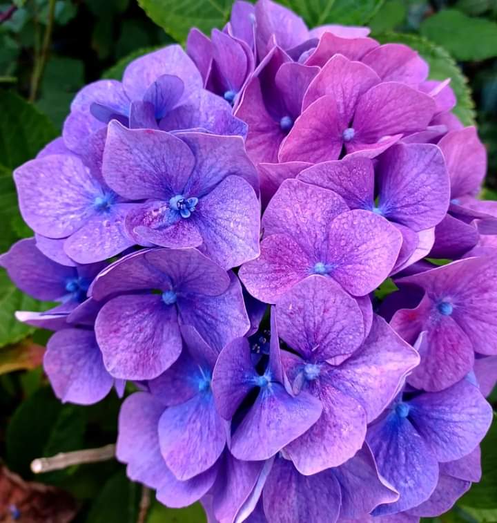 Sandrine Lorans (@colorsandar) on Twitter photo 