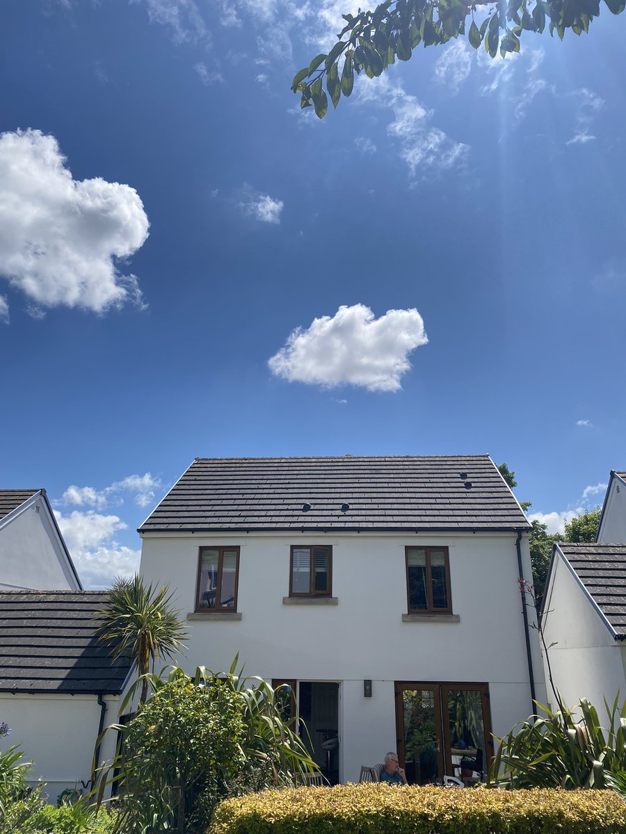 debbiedotmac's tweet image. Top of garden me on sky, ipad David on @Wimbledon ladies final, it’s a lovely day in the garden #eachtotheirown