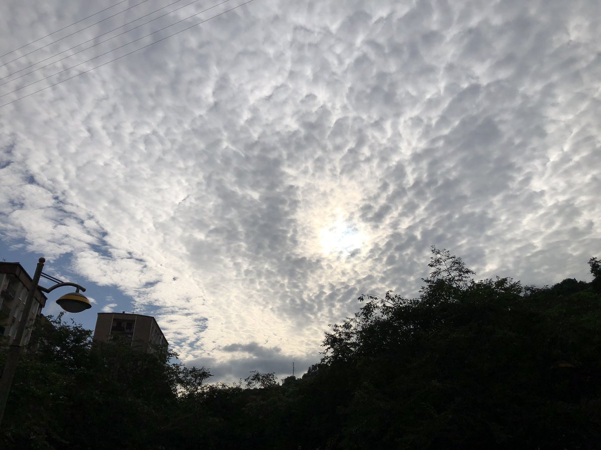 ToniBarreraEsco's tweet image. Cel enrajolat o empedrat (altocúmuls estratiformes #Altocumulus #stratiformis) aquest capvespre a #Eibar #Gipuzkoa #Euskadi #Guipúscoa #PaísBasc des del barri d’Urkizu.