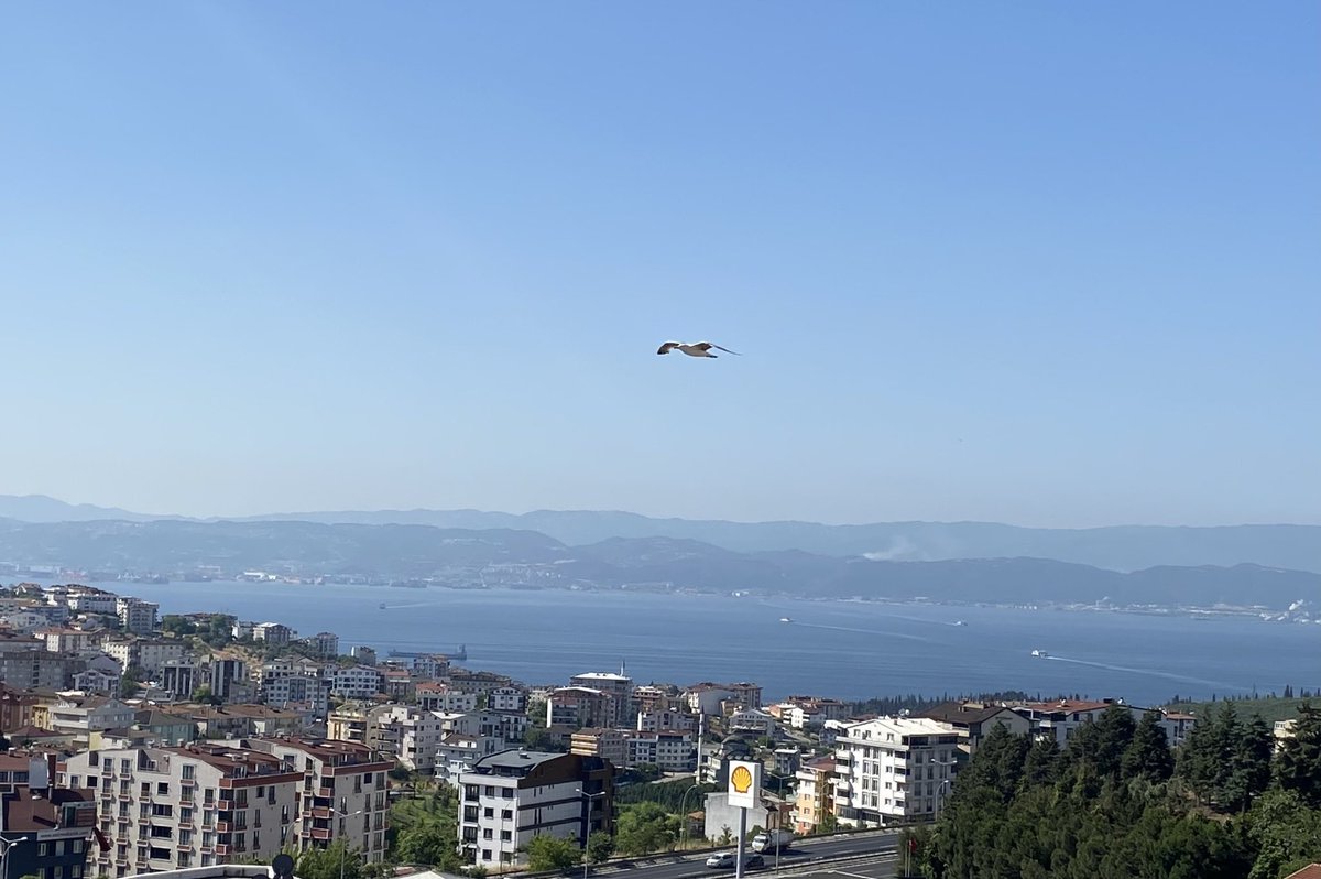 “Kuş ölür, sen uçuşu hatırla…”
                            (Füruğ Ferruhzad)