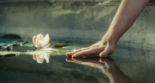 folkausten's tweet photo. https://t.co/FsBUj9xOJe