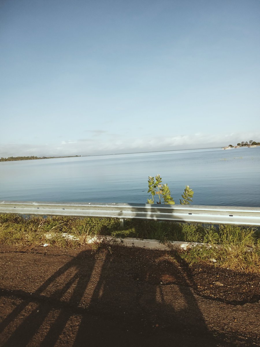 Stayfandom4's tweet image. Rio