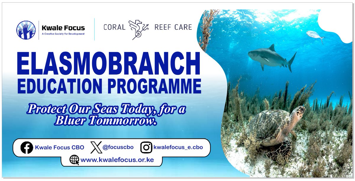 Exciting news! We're thrilled to introduce our new #ElasmobranchProject, generously funded by #CoralReefCare,a Dutch-based foundation.Together, we're launching an awareness program to protect sharks, rays, and skates along the shores of Msambweni &amp; Matuga Sub-counties.