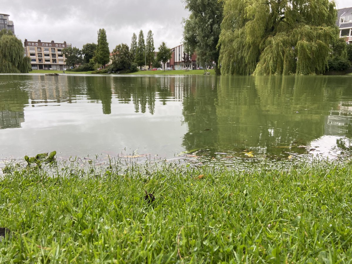 Jan Waanders tweet media