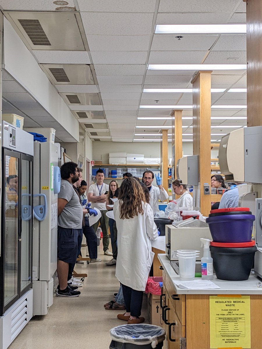 Some highlights from the last week of science at #ATMN24. Immunopanning courtesy of <a href="/LiddelowSA/">Shane Liddelow 🍊</a> slice preps, primary culture, and IUE from <a href="/TheSilverLab/">Debby Silver</a> and single cell electroporation from <a href="/kurthaas4/">Kurt Haas</a> and <a href="/neuro_Pete/">Peter Hogg</a> 🐀🐸