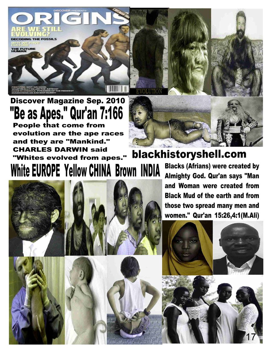 Math7Science's tweet image. THE WHITE GREEKS, ROMANS AND WHITE ARABS WERE ALL CAVE PEOPLE WHO WERE INVADERS TO BLACK CIVILIZATIONS.