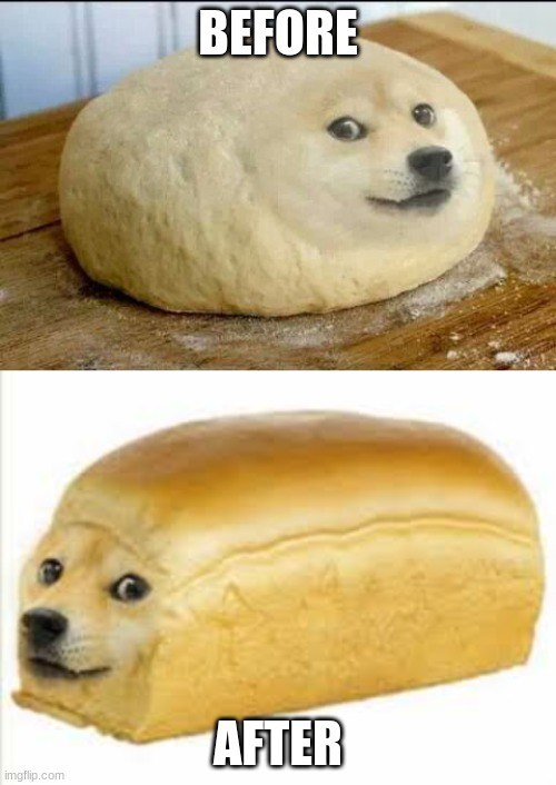 pumpfunchad's tweet photo. @dapersiantrader Doge $BREAD I have a feeling #Dogebread 1M Today!
@dogebreadsol https://t.co/DO8yRTOq7c
