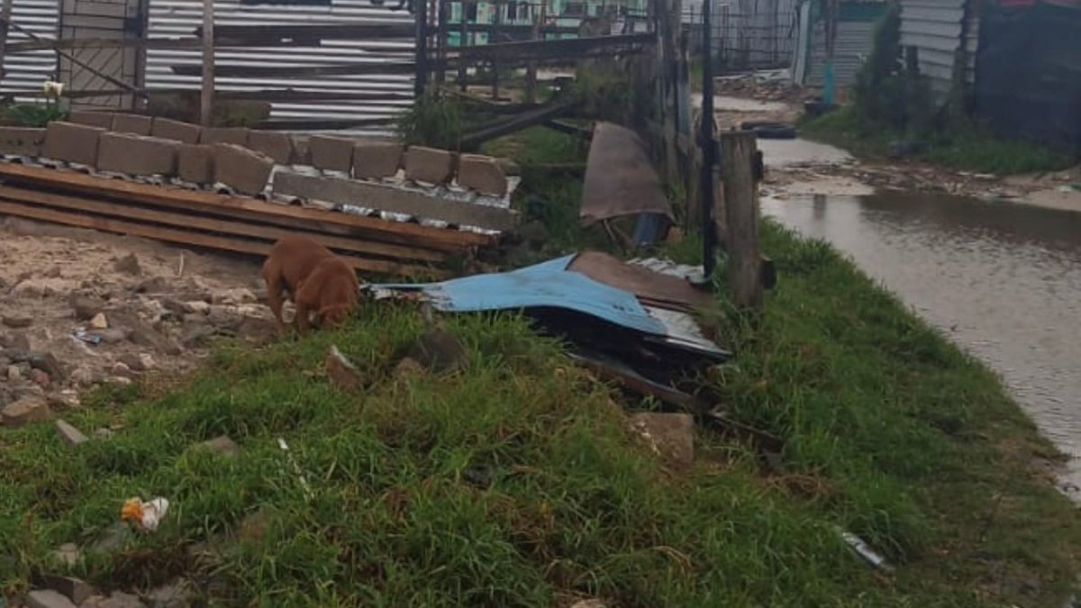 Network4Animals's tweet photo. HELP: Rescue animals face drowning, injury & death after severe storms devastate #CapeTown, #SouthAfrica. With shelters damaged & food supplies destroyed, our partners desperately need help. Please donate to help save animal lives: https://t.co/hT4RDBiFt1
#NFAEquines #CapeStorms https://t.co/lbIuWohkGZ